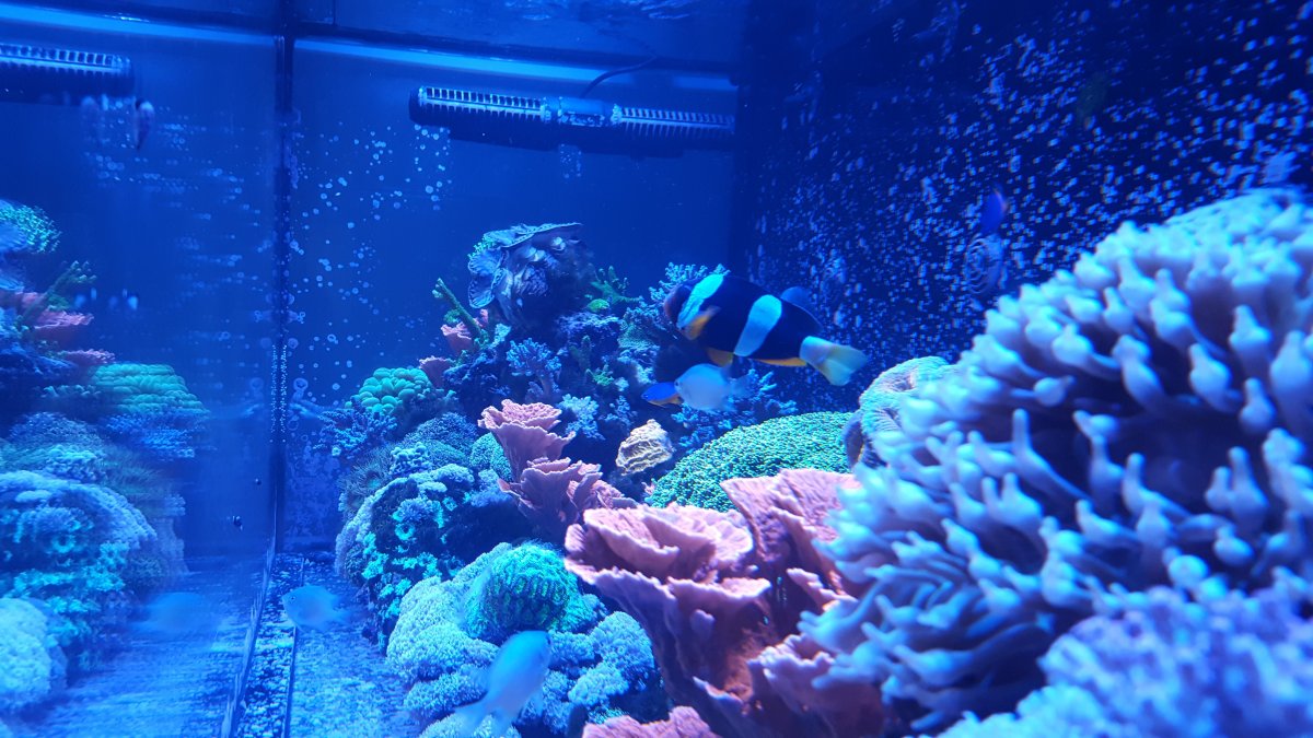 1- 24FEB19.jpg