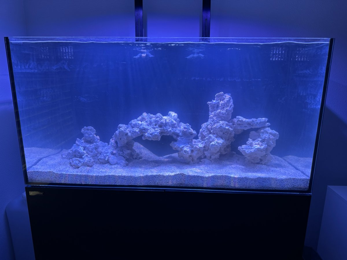 1-First Fill.jpeg