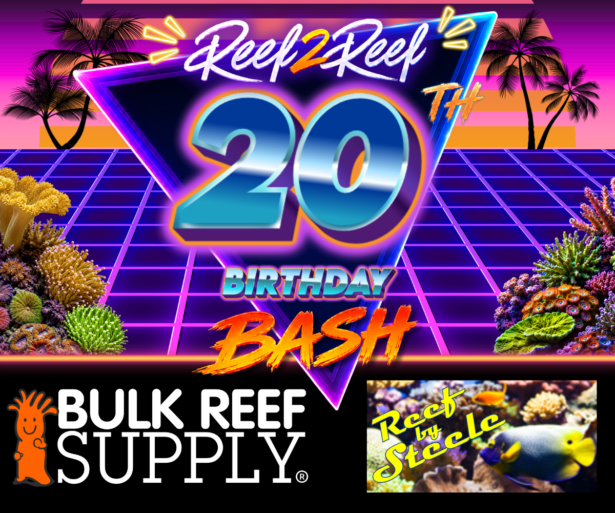 Live Sale