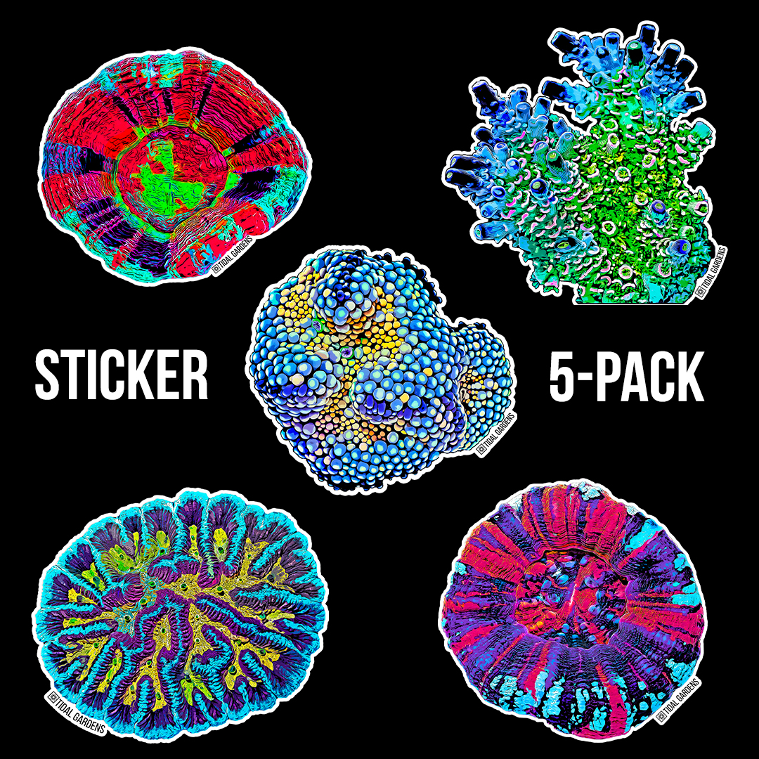 1-Sticker-Pack.jpg