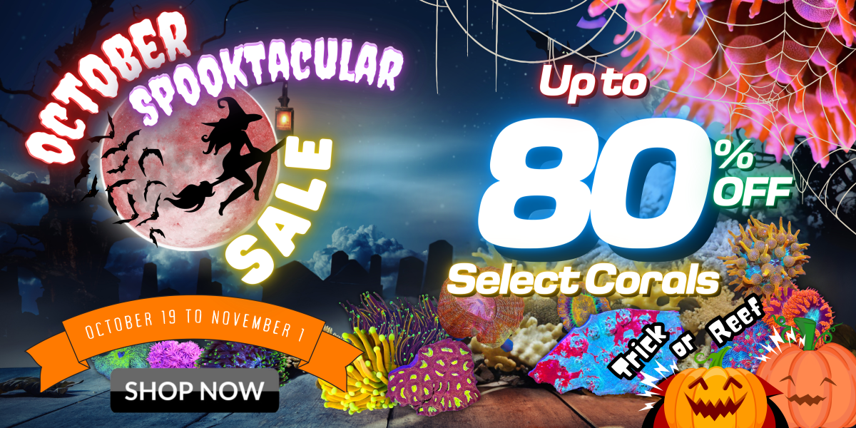 10.19.23 October Spooktacular Sale Website Banners.png