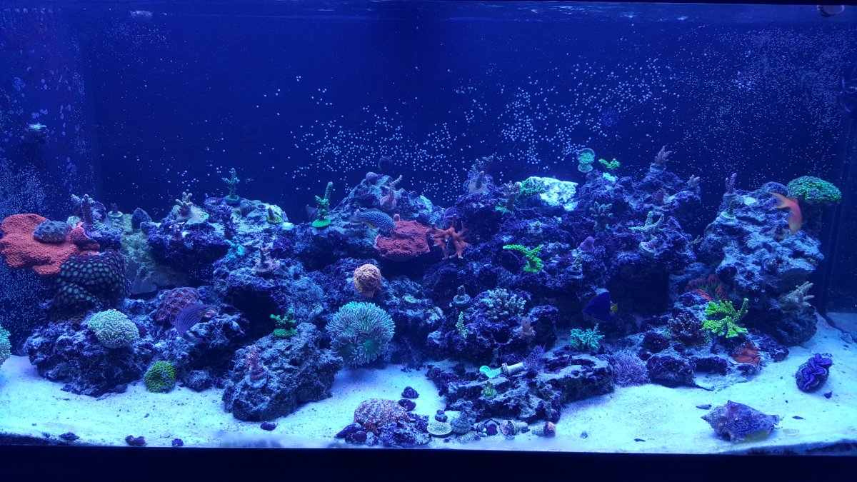 10-2-16.jpg