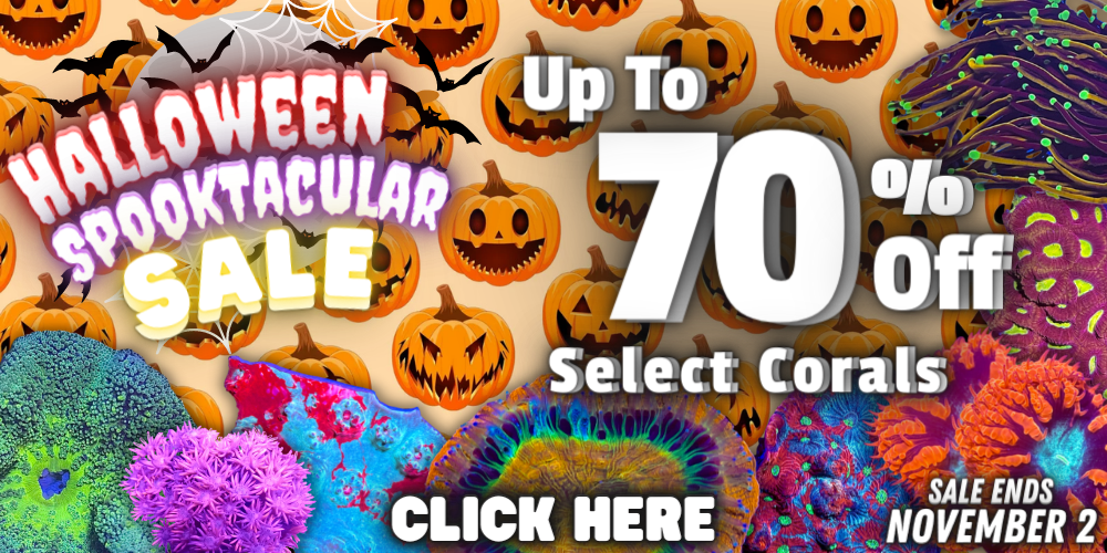 10.20.2022 Halloween Spooktacular Sale.png