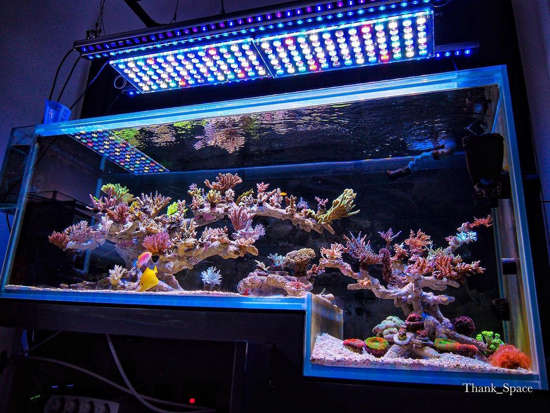 10-most-amazing-reef-tank-aquascape-LED-atlantik-icon.jpeg