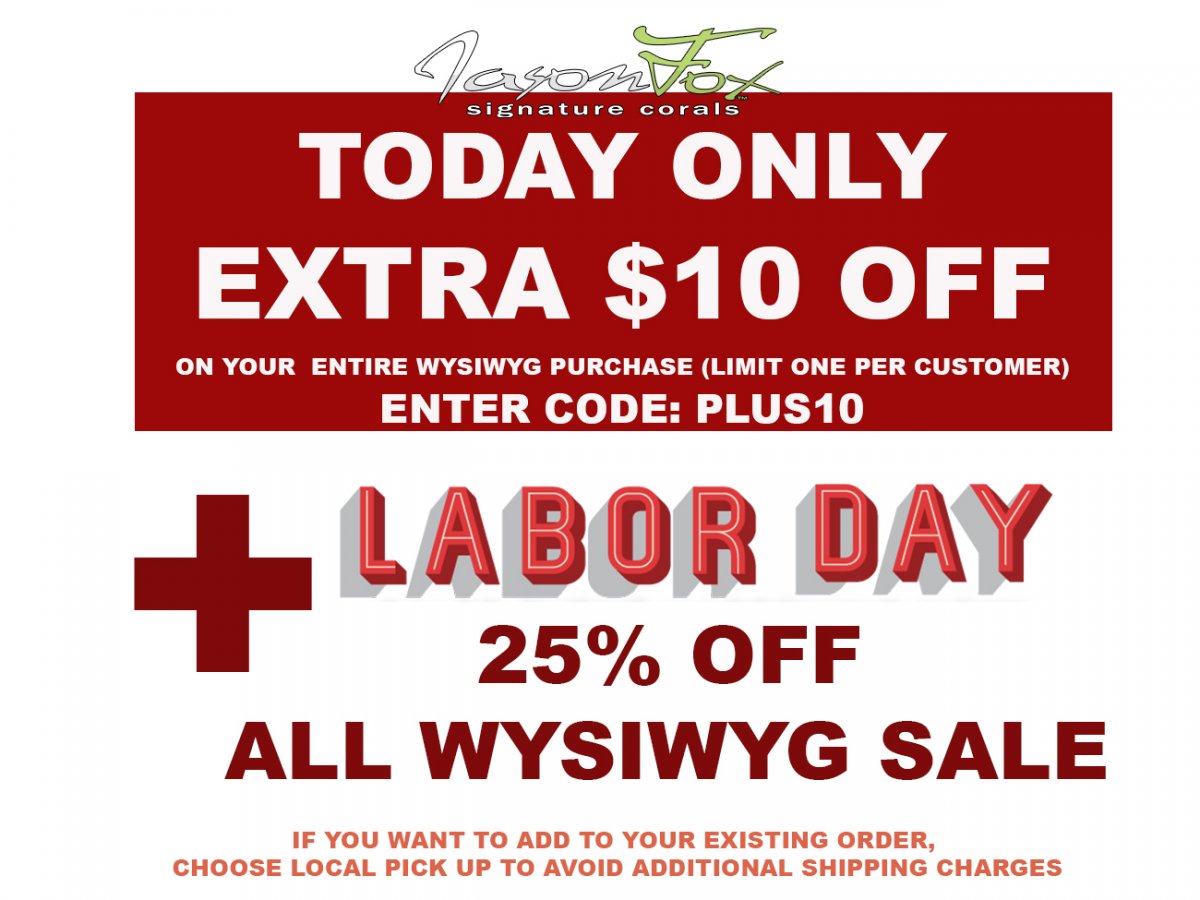 10$ OFF.jpg