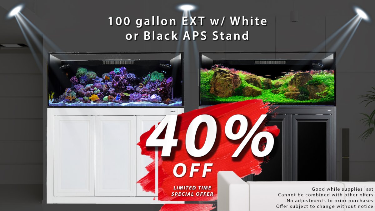 100 ext black and white stand 40 percent sale copy.jpg