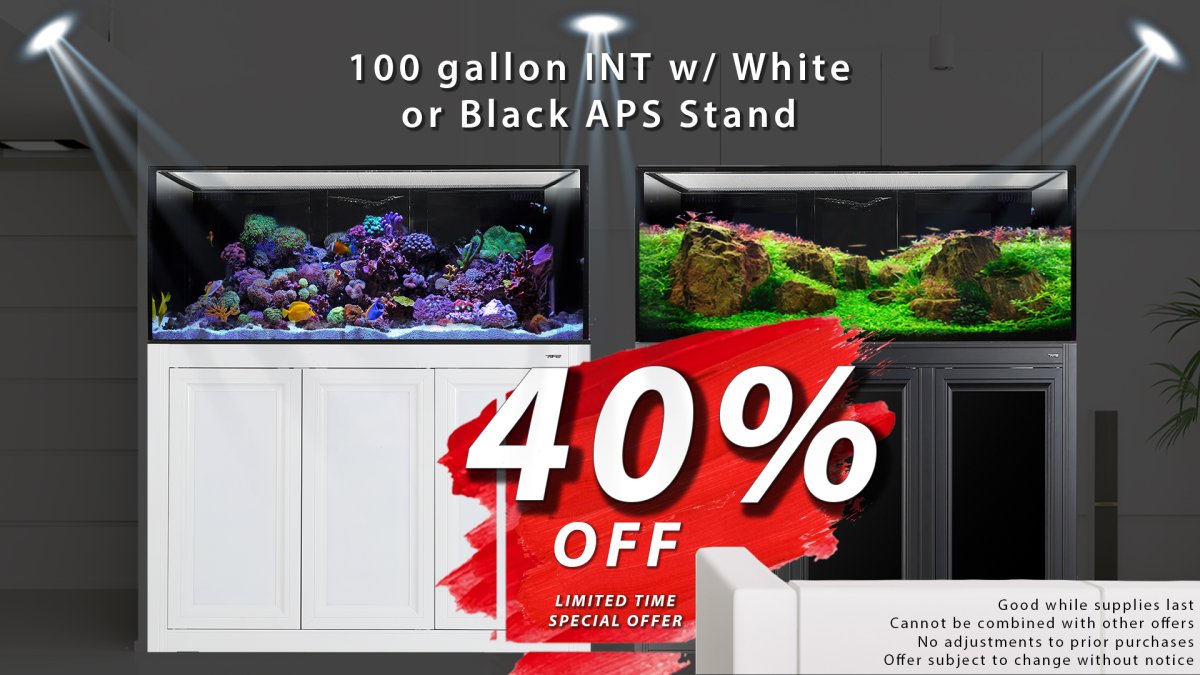 100 INT ext black and white stand 40 percent sale copy 2.jpg