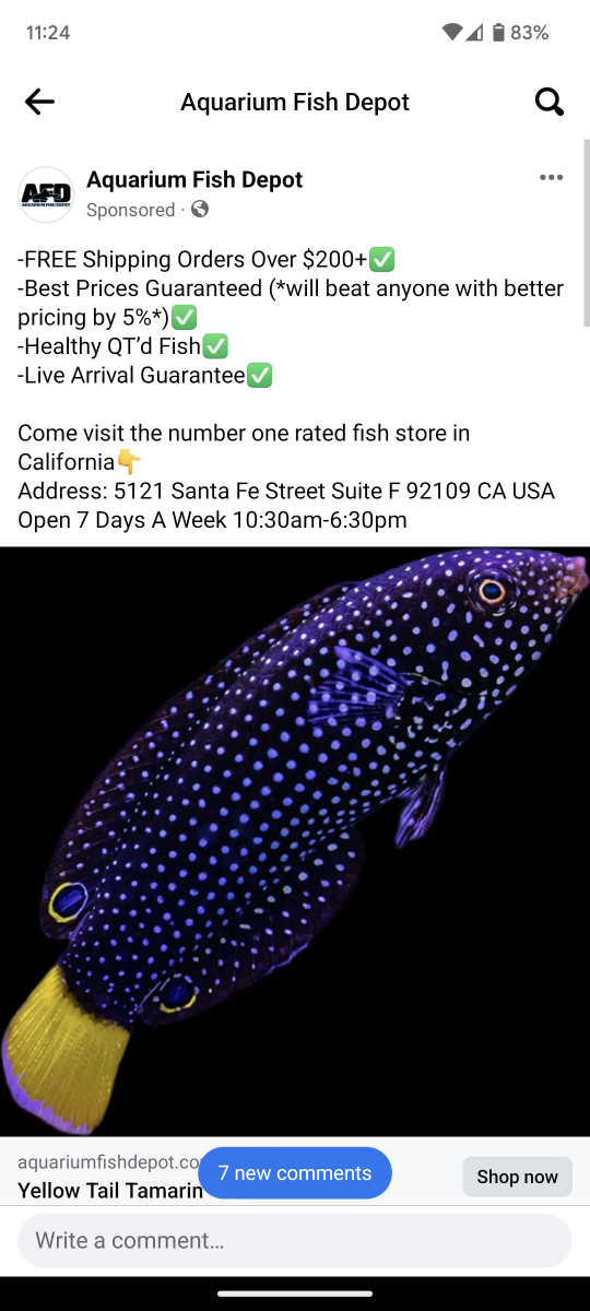 Aquarium sales fish depot