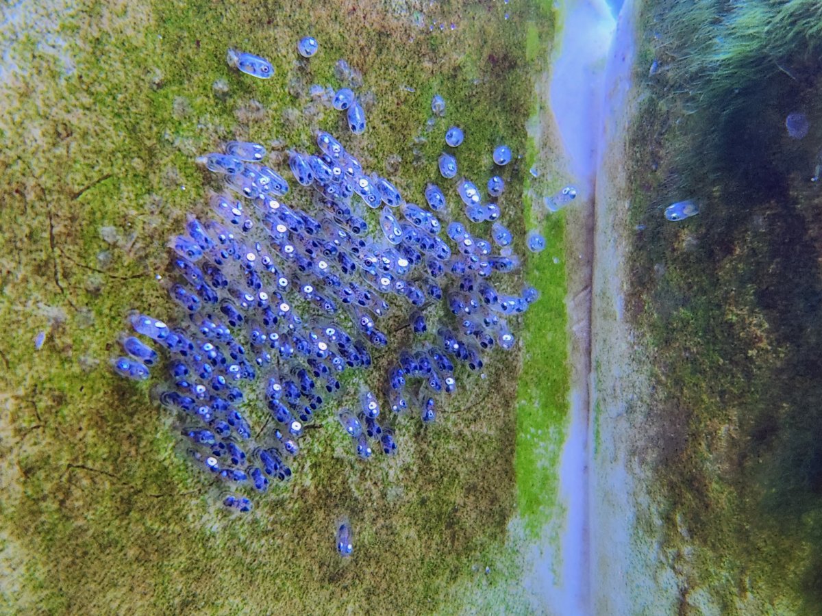 1000001093.jpg