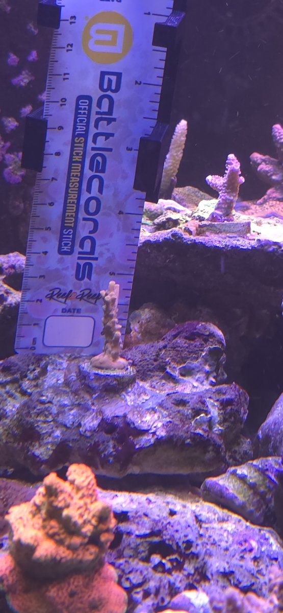 1000002921.jpg