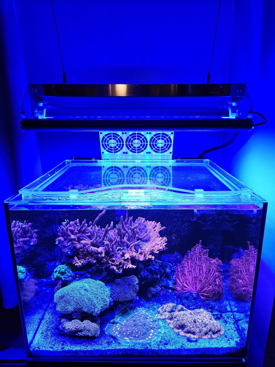 What happened to hooded aquariums? Also, help on choosing new aquarium ...