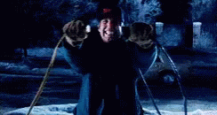 1000003535.gif