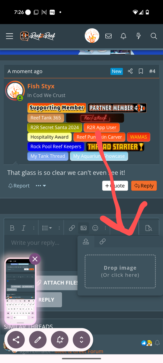 1000003965.png