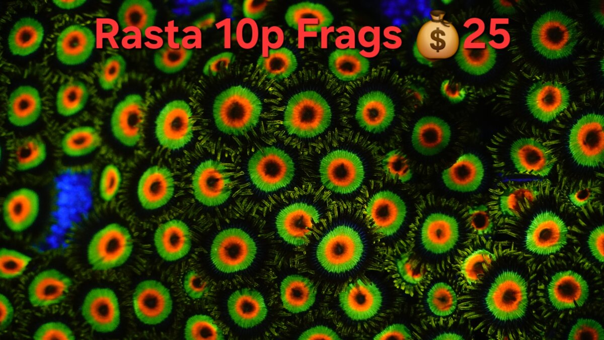 1000004108.jpg
