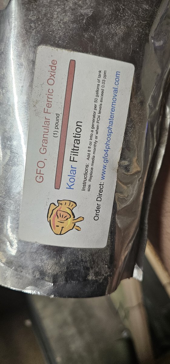 1000004269.jpg