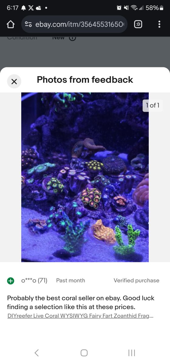 1000004433.jpg