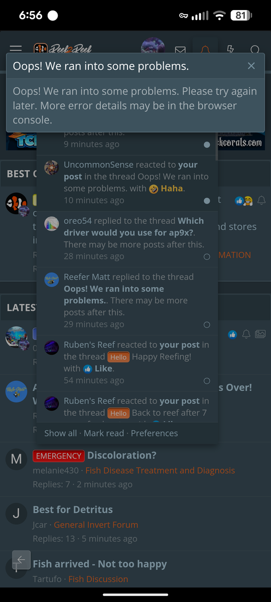 1000006242.png