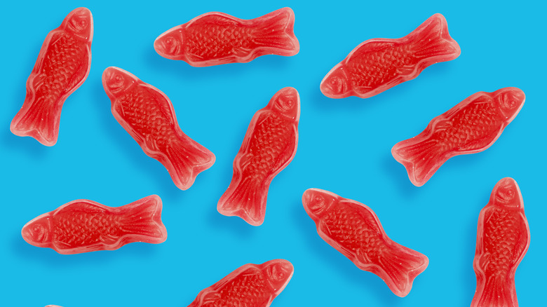 I have never failed in a fish ID test me if you want | Page 6 | Reef2Reef