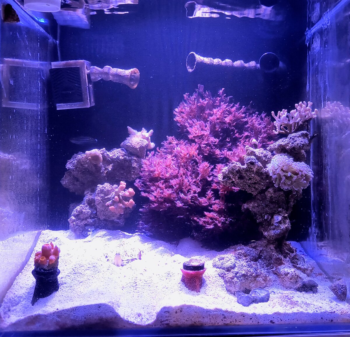 Mariner of the Year Finalist Check-In: Where Are You in Your Reefing ...
