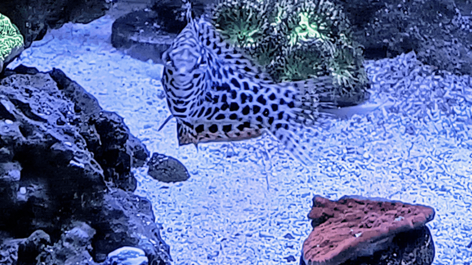 1000008978.gif