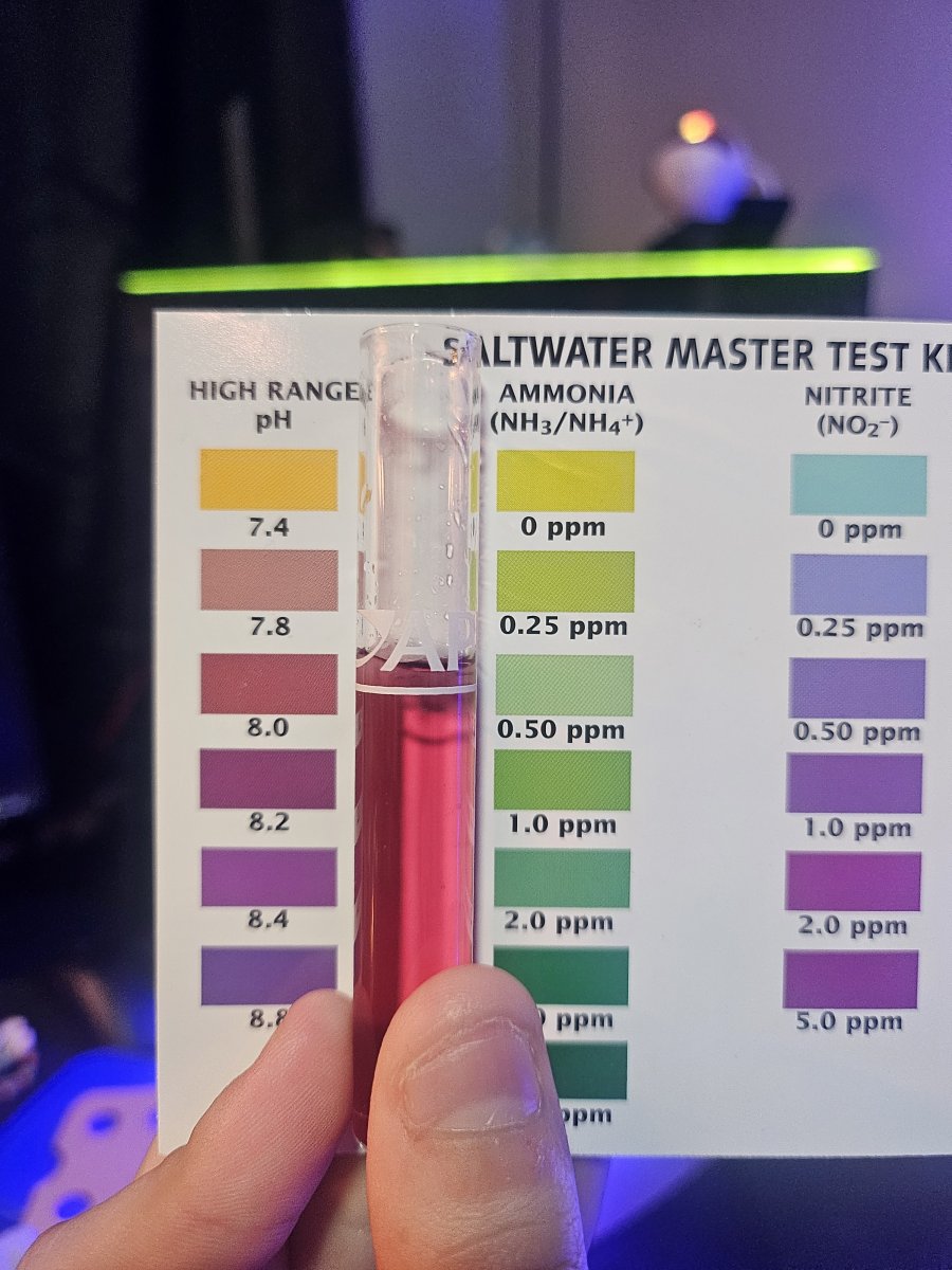 Build Thread - Fluval Evo 13.5 for Dwarf Sea Horses | Reef2Reef