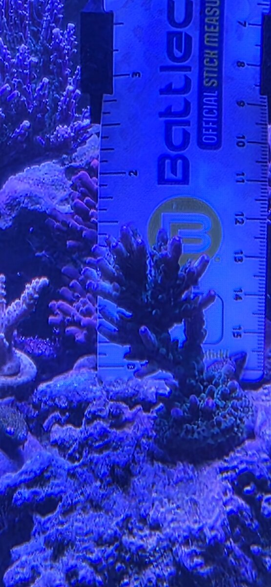 1000010098.jpg