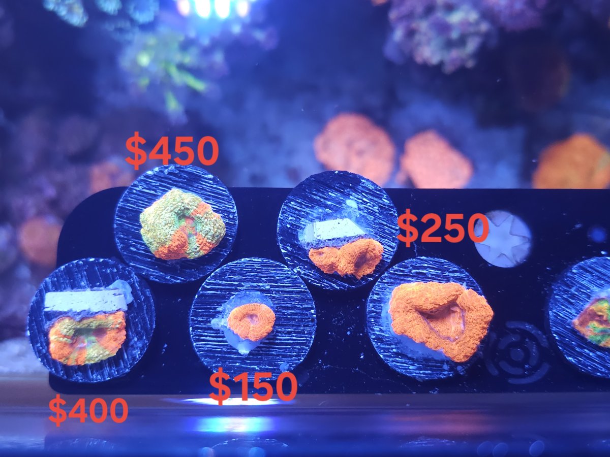 1000011480.jpg