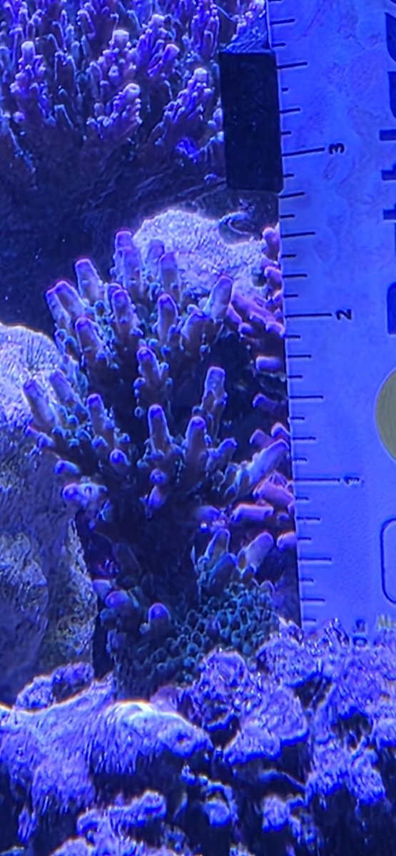 1000012401.jpg