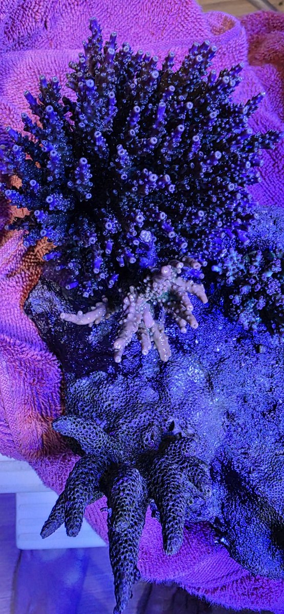 1000013572.jpg