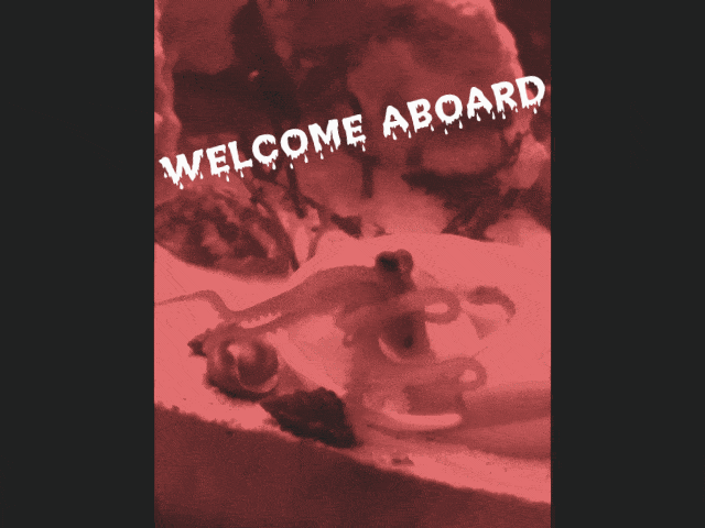 1000015036.gif