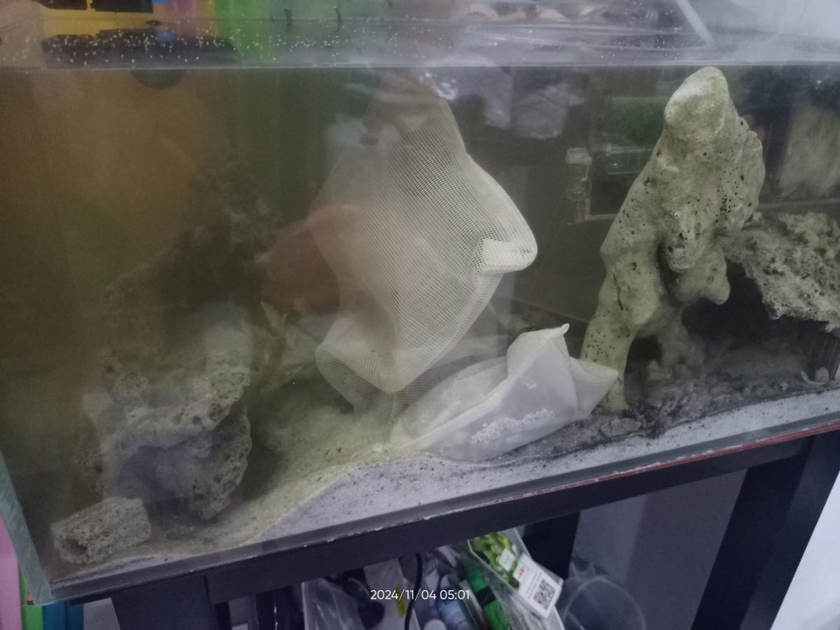 What to do with abandoned tank and how to clean, save and reuse ...