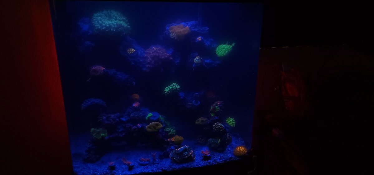 1000016115.jpg