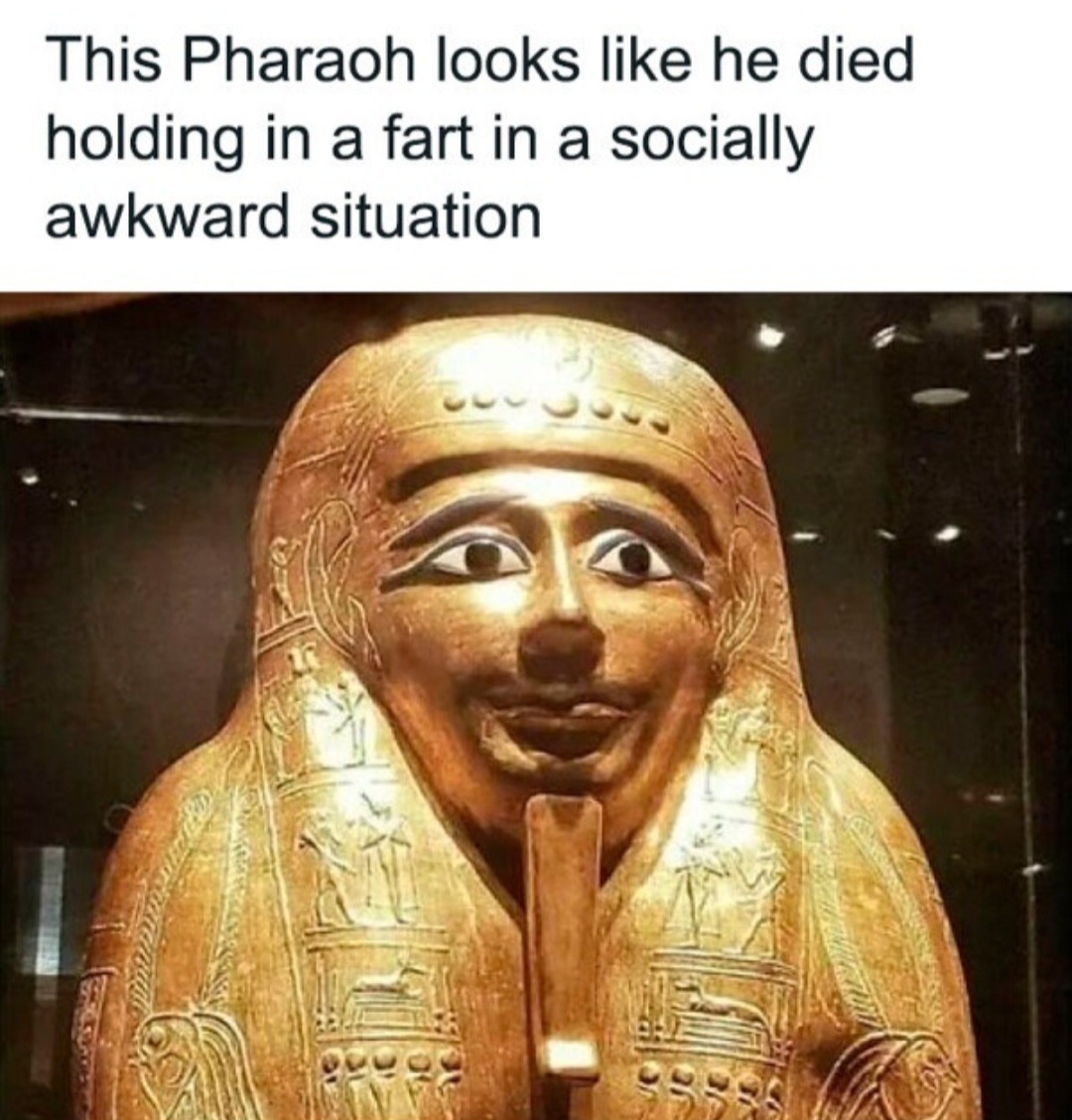 1000016211.jpg