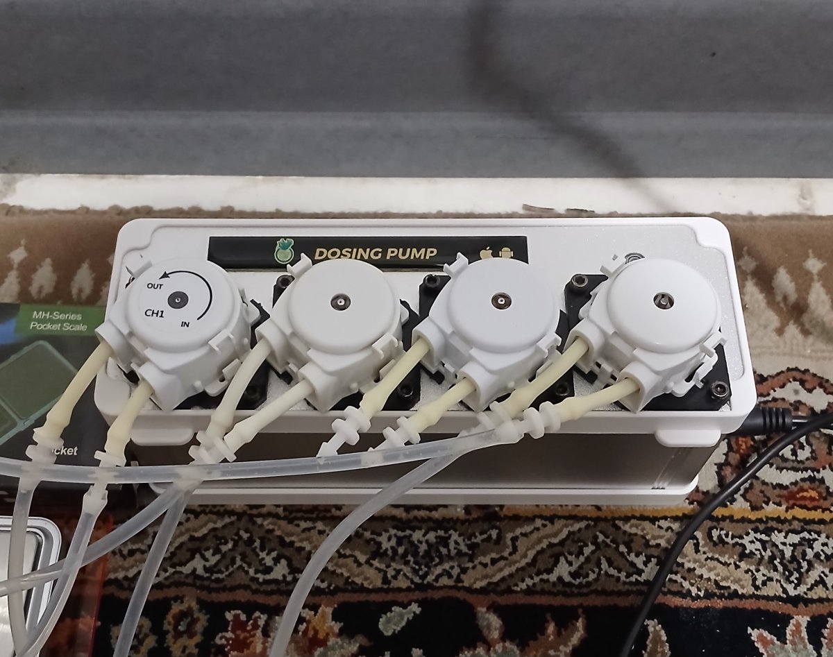1000033850.jpg