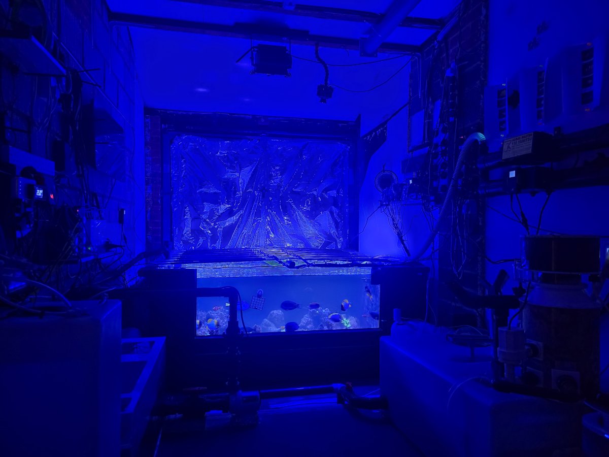 1000038379.jpg