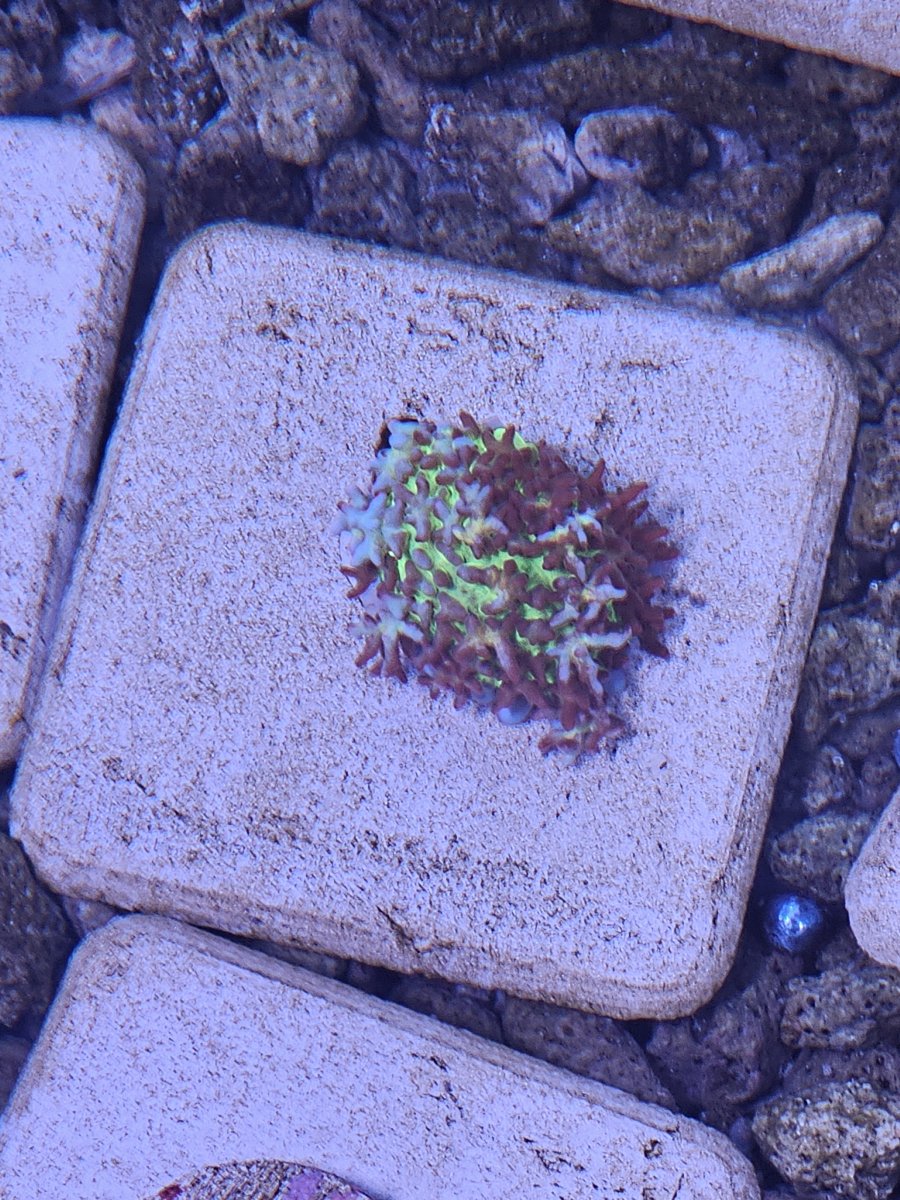 1000041670.jpg
