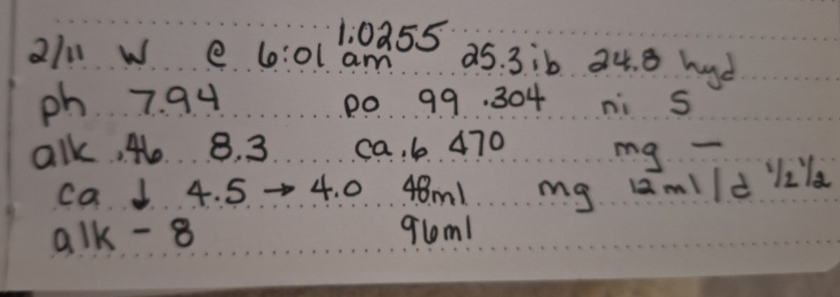 1000044194.jpg