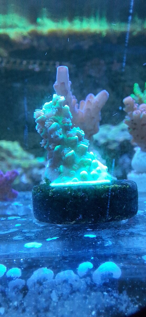 1000044759.jpg