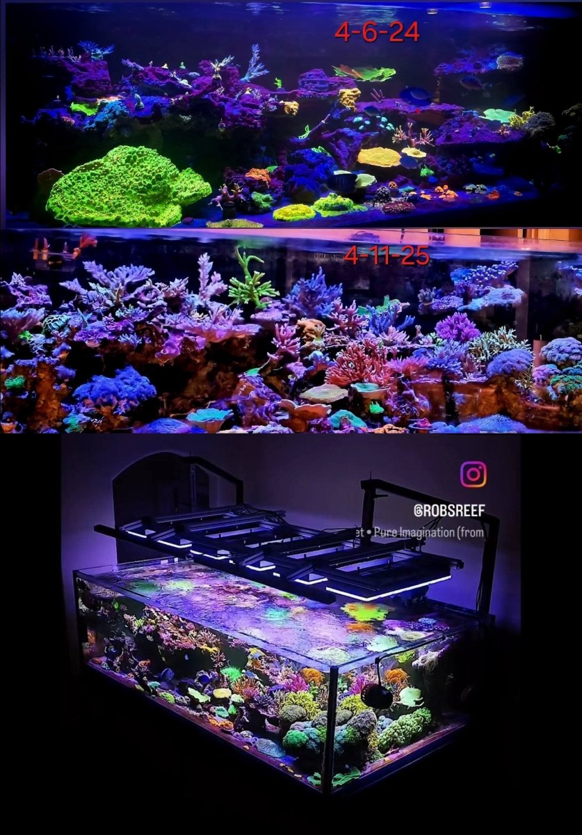 1000045984.jpg