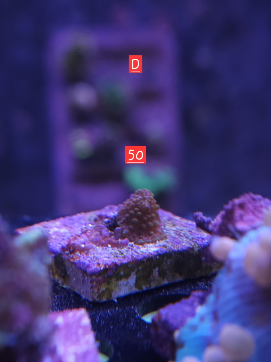 1000070161.jpg