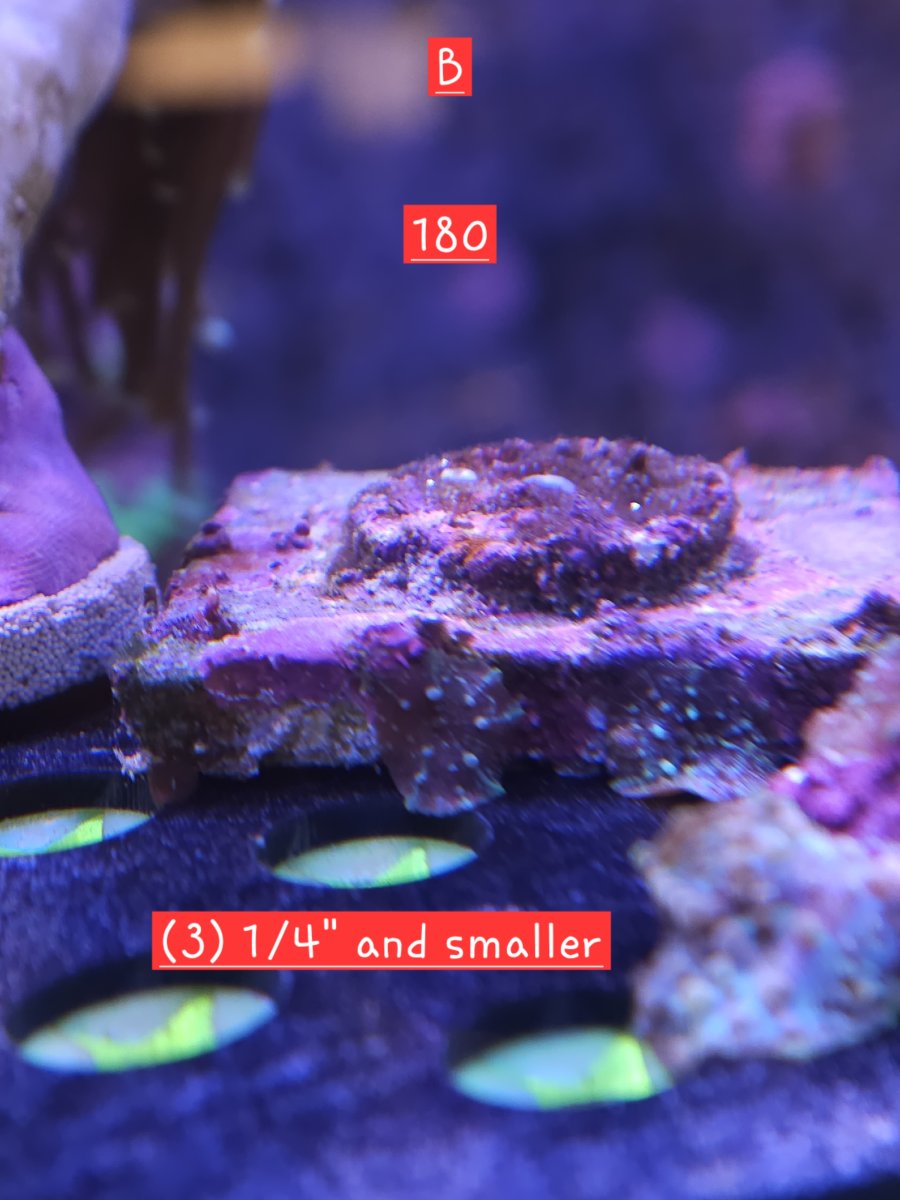 1000070162.jpg