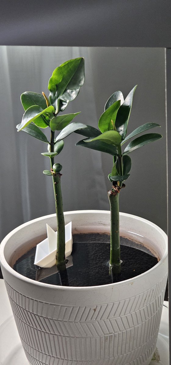 1000072942.jpg