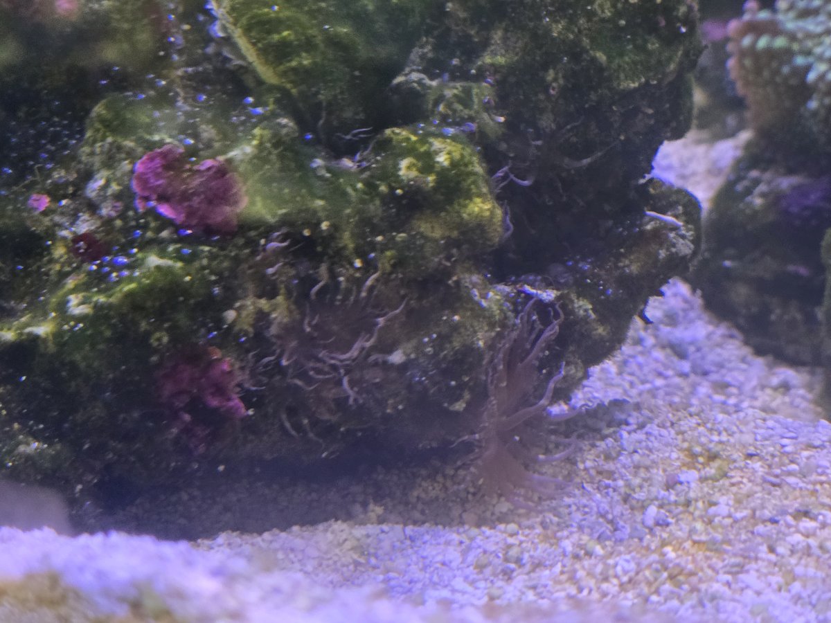 1000102449.jpg