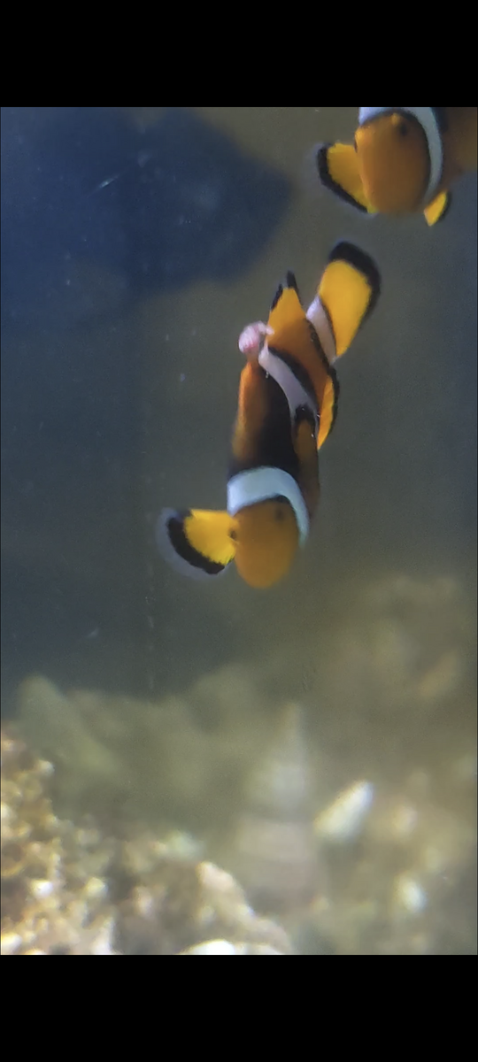 1000104411.png