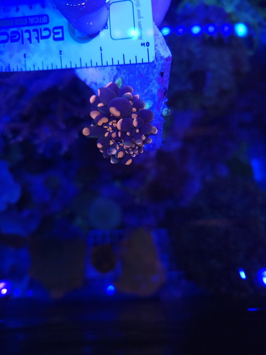 1000111828.jpg