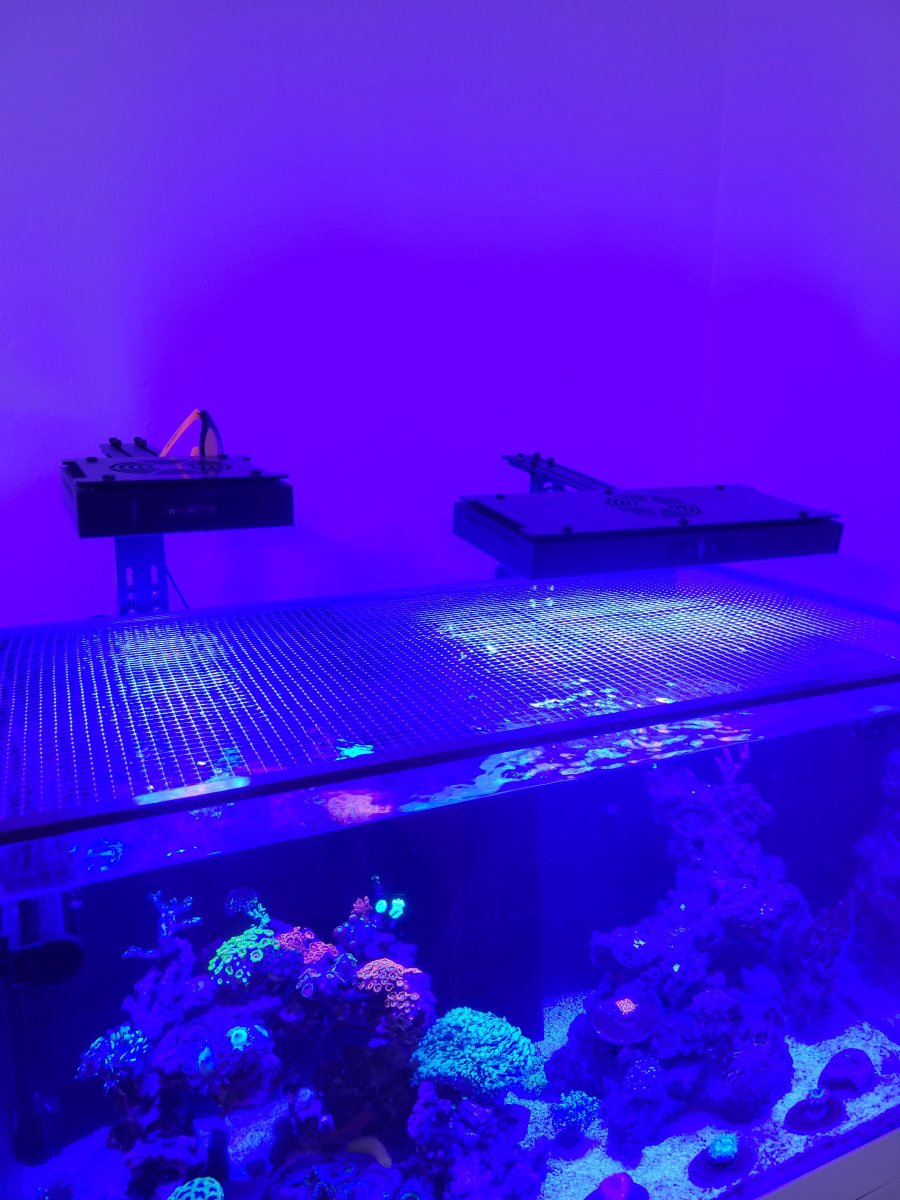 1000117226.jpg