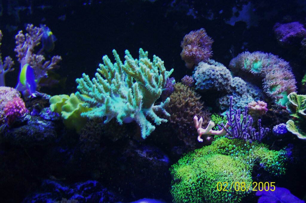 100_0194.JPG
