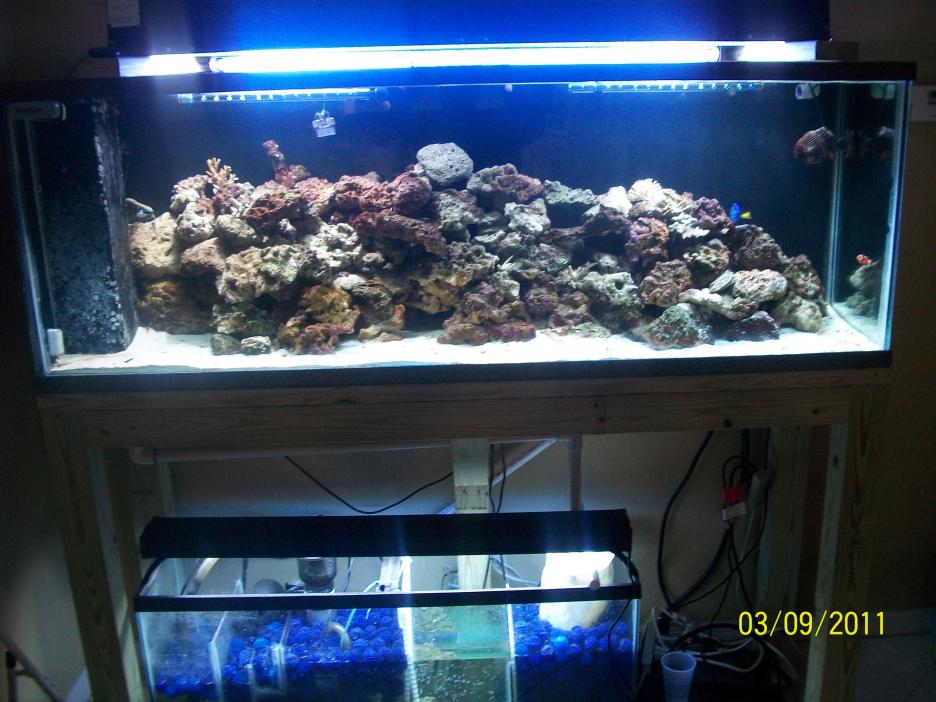 100_2727.jpg