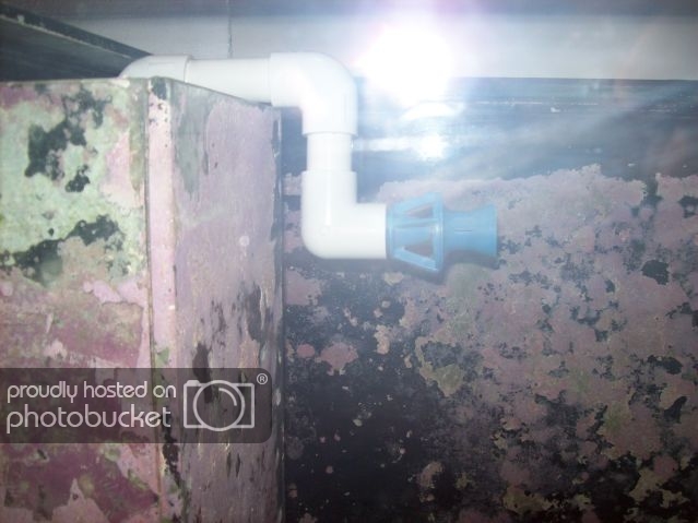 100_8178_zps06b5bf71.jpg