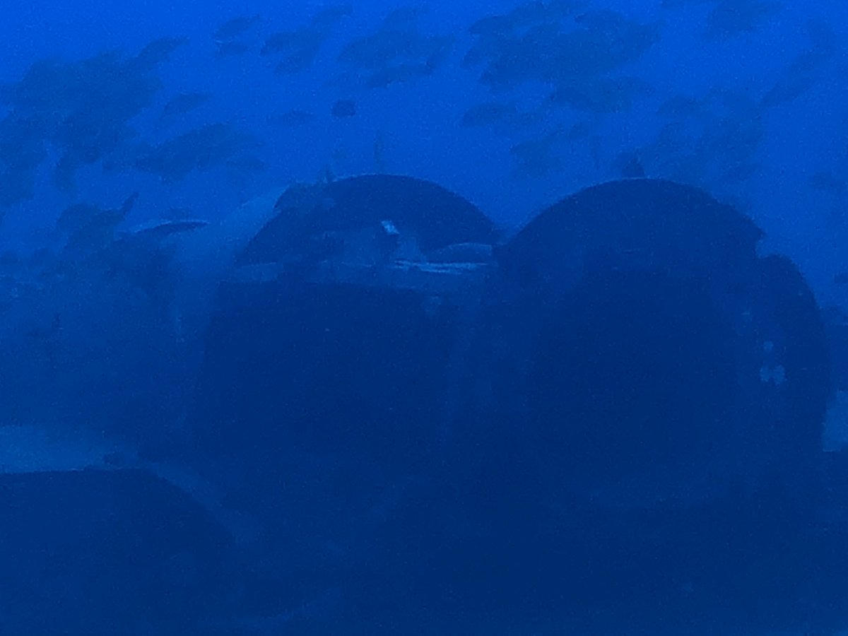 100C28D9-052D-40E3-9418-517C3587C05E.jpeg